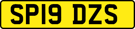 SP19DZS