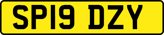 SP19DZY