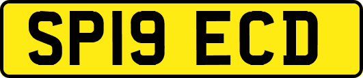 SP19ECD