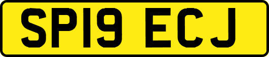 SP19ECJ