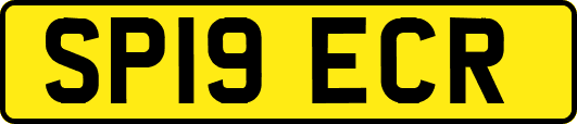 SP19ECR