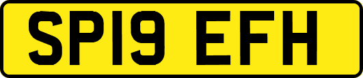 SP19EFH