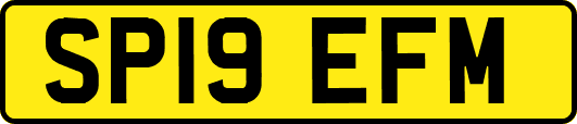 SP19EFM