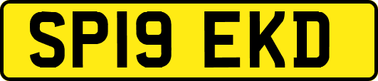 SP19EKD