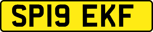 SP19EKF
