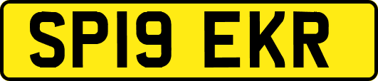 SP19EKR