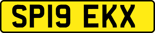 SP19EKX
