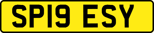 SP19ESY