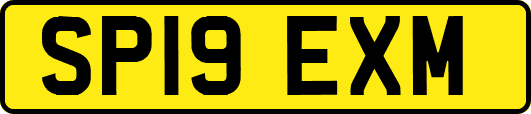 SP19EXM