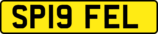 SP19FEL