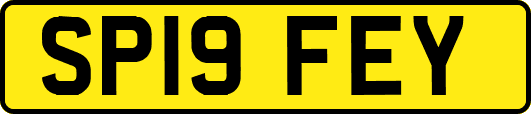 SP19FEY