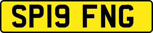 SP19FNG