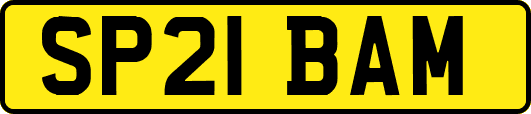 SP21BAM