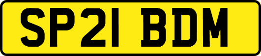 SP21BDM