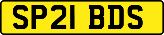 SP21BDS