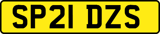 SP21DZS