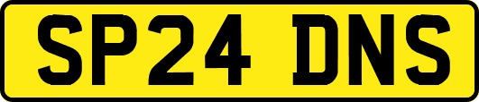 SP24DNS