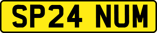 SP24NUM