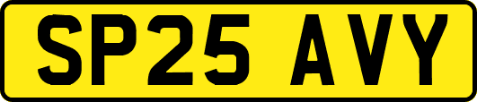 SP25AVY