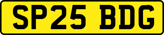 SP25BDG