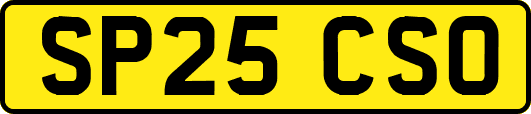SP25CSO