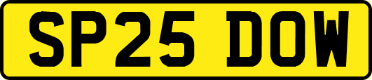 SP25DOW
