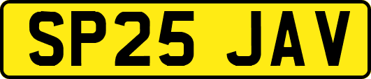 SP25JAV
