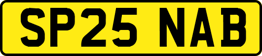 SP25NAB