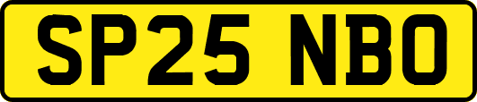 SP25NBO