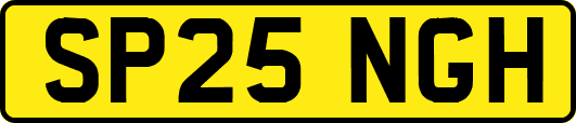 SP25NGH