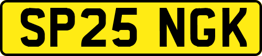 SP25NGK