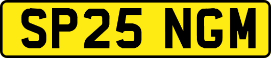 SP25NGM