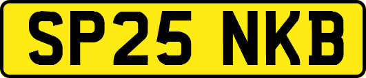 SP25NKB