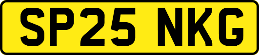 SP25NKG