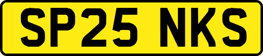 SP25NKS