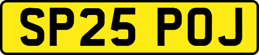 SP25POJ