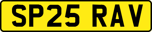 SP25RAV