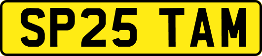 SP25TAM