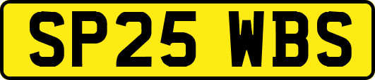 SP25WBS