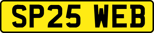 SP25WEB