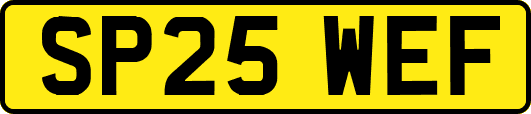 SP25WEF