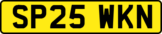 SP25WKN