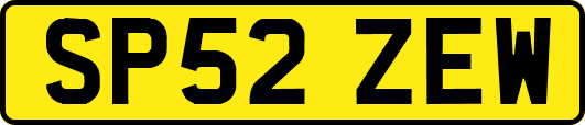 SP52ZEW
