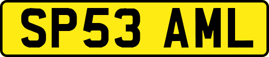 SP53AML