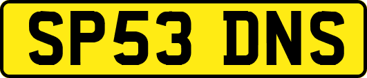 SP53DNS