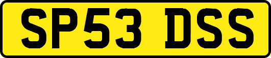 SP53DSS