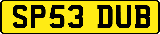 SP53DUB