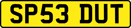 SP53DUT
