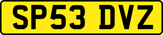 SP53DVZ
