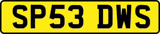 SP53DWS